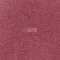 Ковролин Radici Admiral Blush 2203 фото 1 | FLOORDEALER